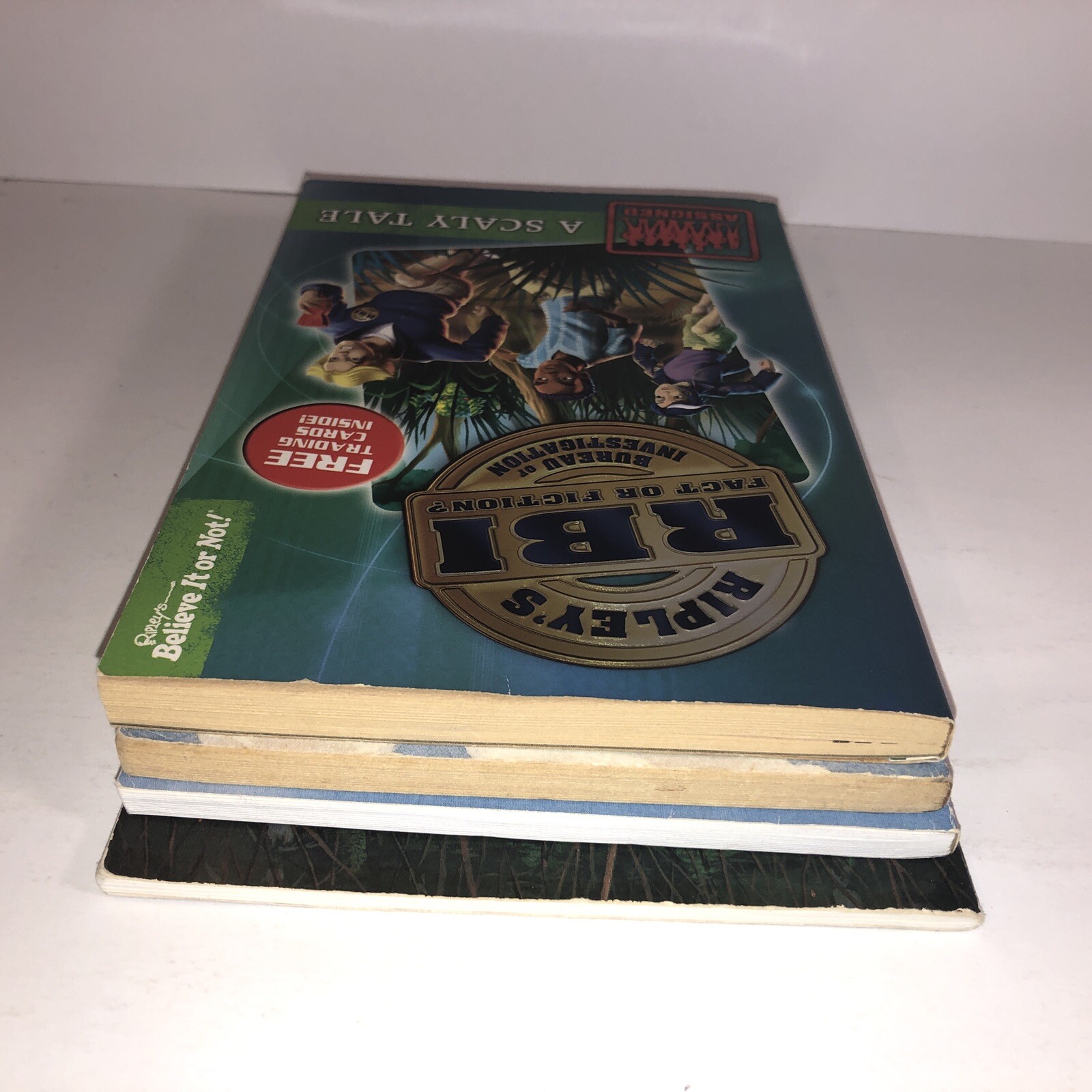 Childrens Chapter Books Lot of 4 Bundle Ages 6-10 Kids Reading Homeschool