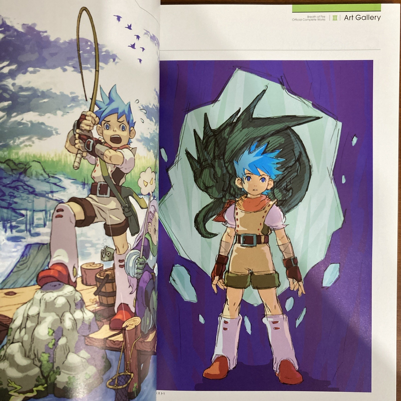Breath Of Fire Official Complete Works Art Book Capcom Illustration