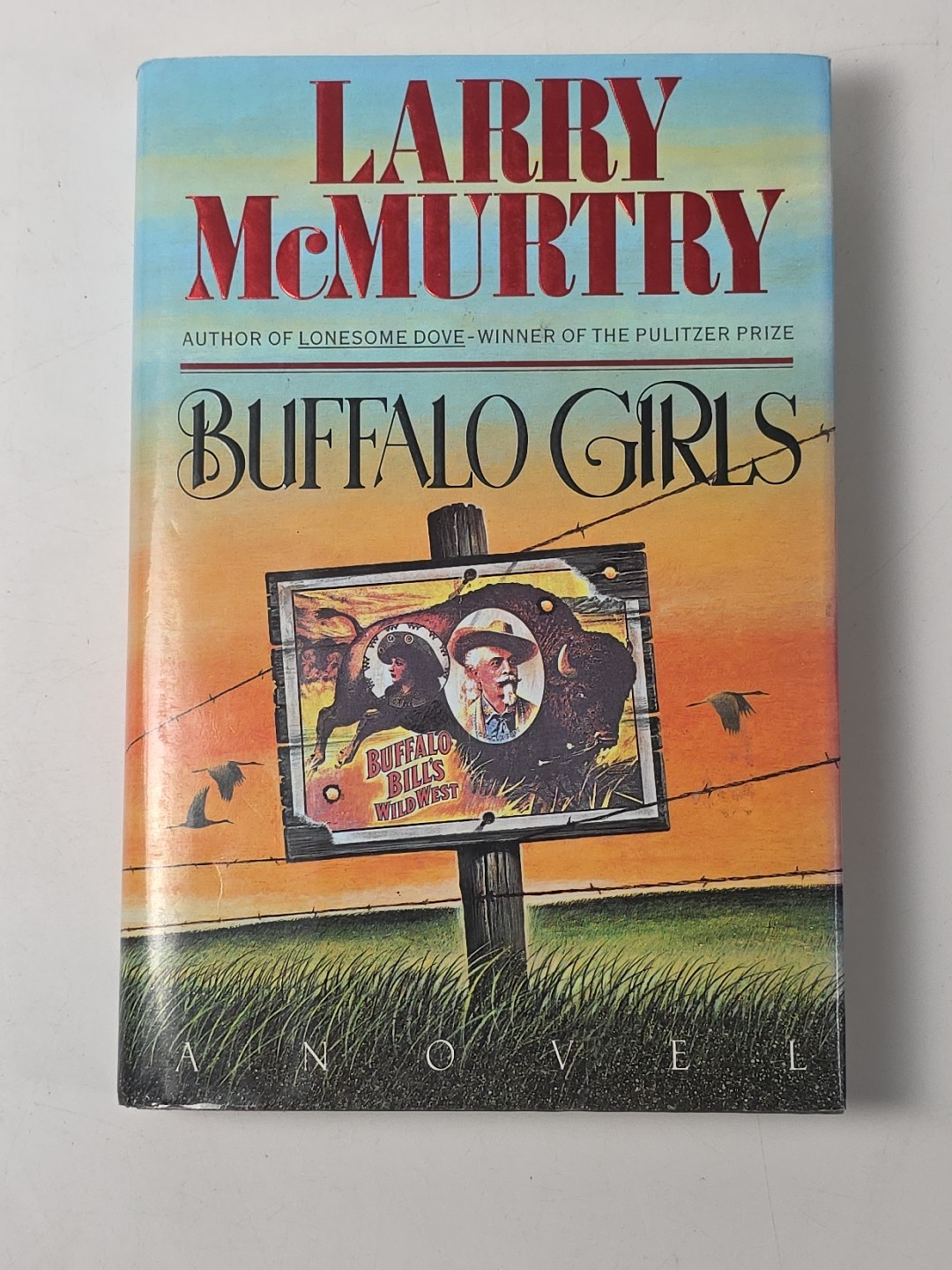 Lot of 17 Larry McMurtry Books (12 Hardcover; 5 Paperback) ~ Many First Editions