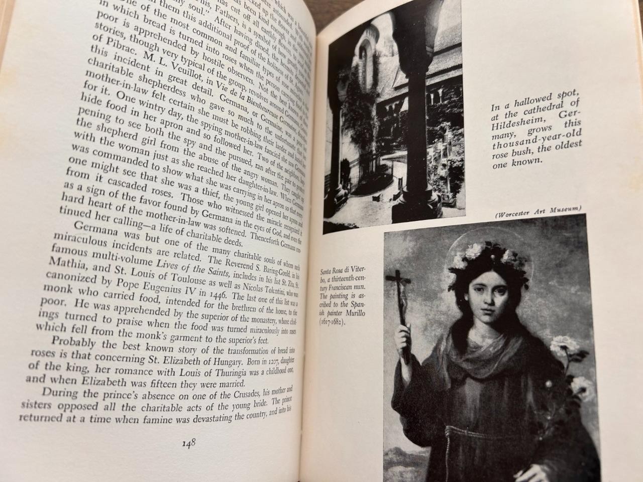 Pageant of the Rose book Jean Gordon vintage 1961 hardcover dustjacket 232 pages