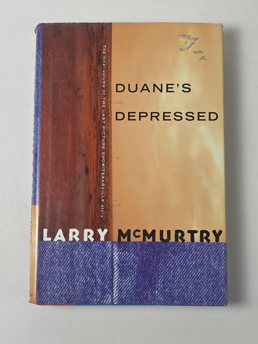 Lot of 17 Larry McMurtry Books (12 Hardcover; 5 Paperback) ~ Many First Editions