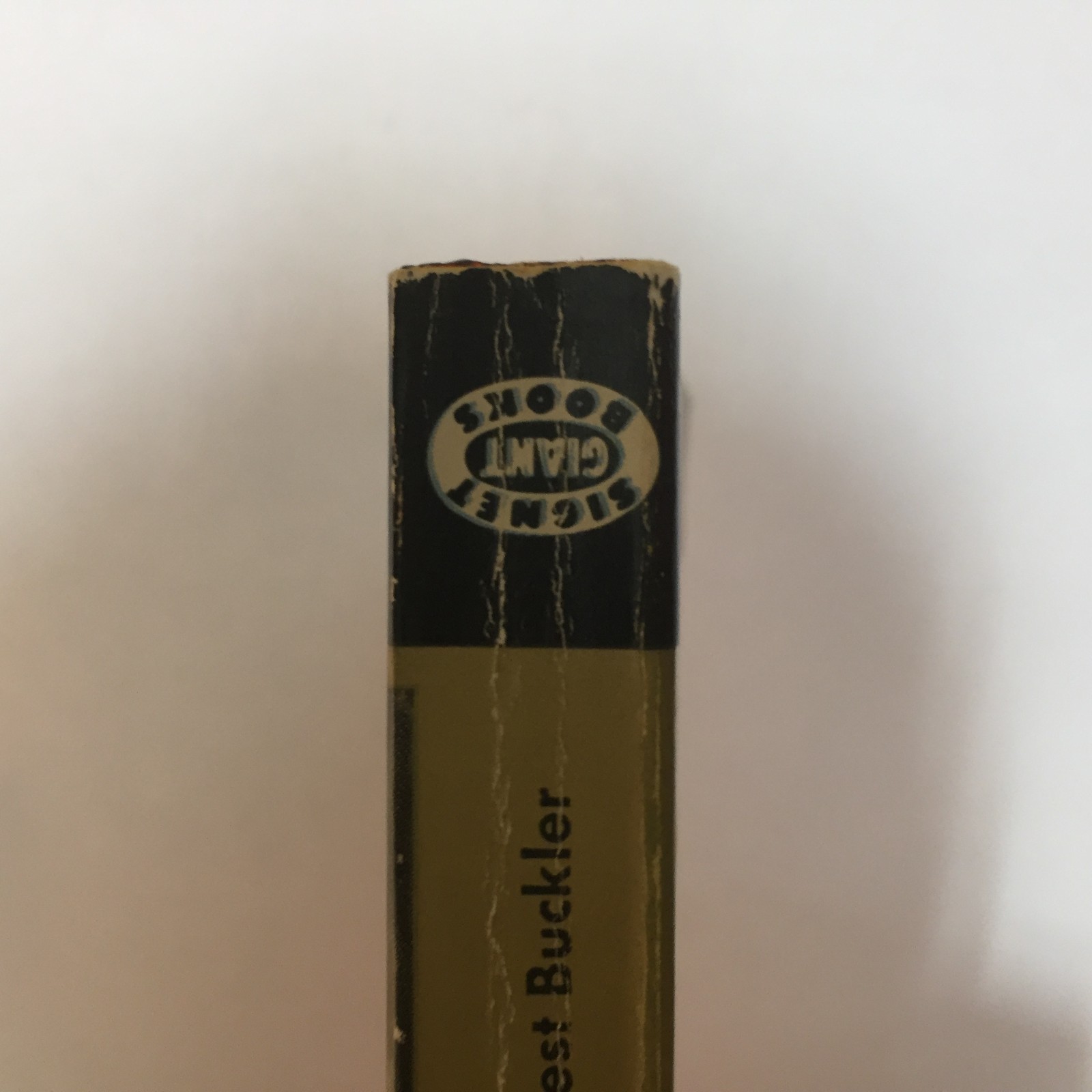 The Mountain And The Valley Ernest Buckler 1954 Signet Giant Coming Of Age Book