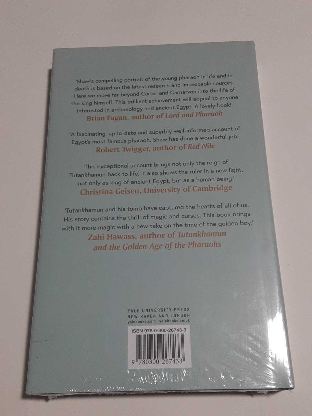 Story of Tutankhamun – An Intimate Life of the Boy Who Became King, Hardcover