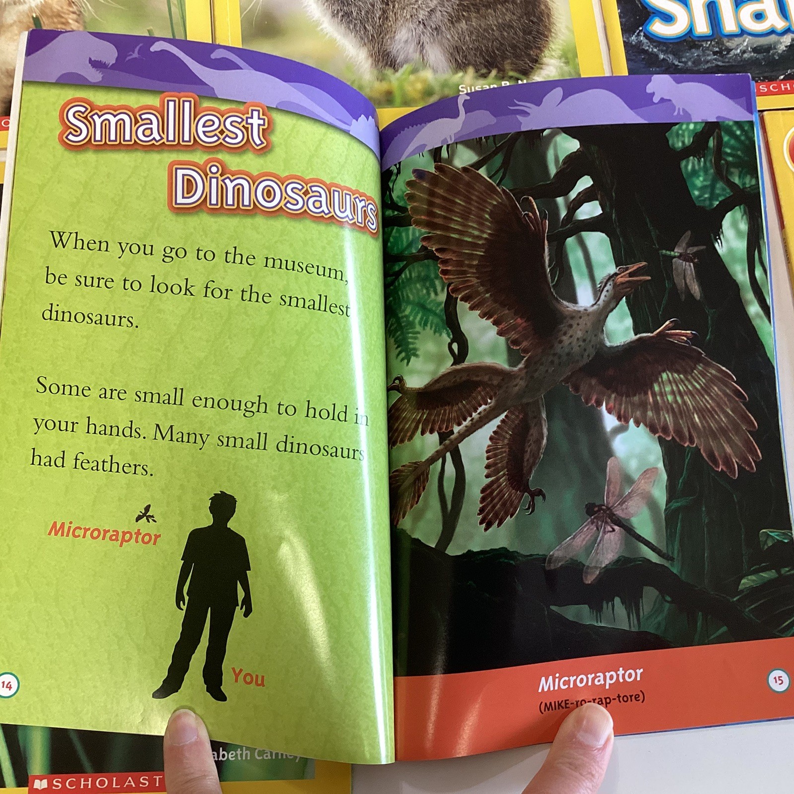 National Geographic Pre Level 1 & 2 Readers Kindergarten 1st Grade 14 Book Lot