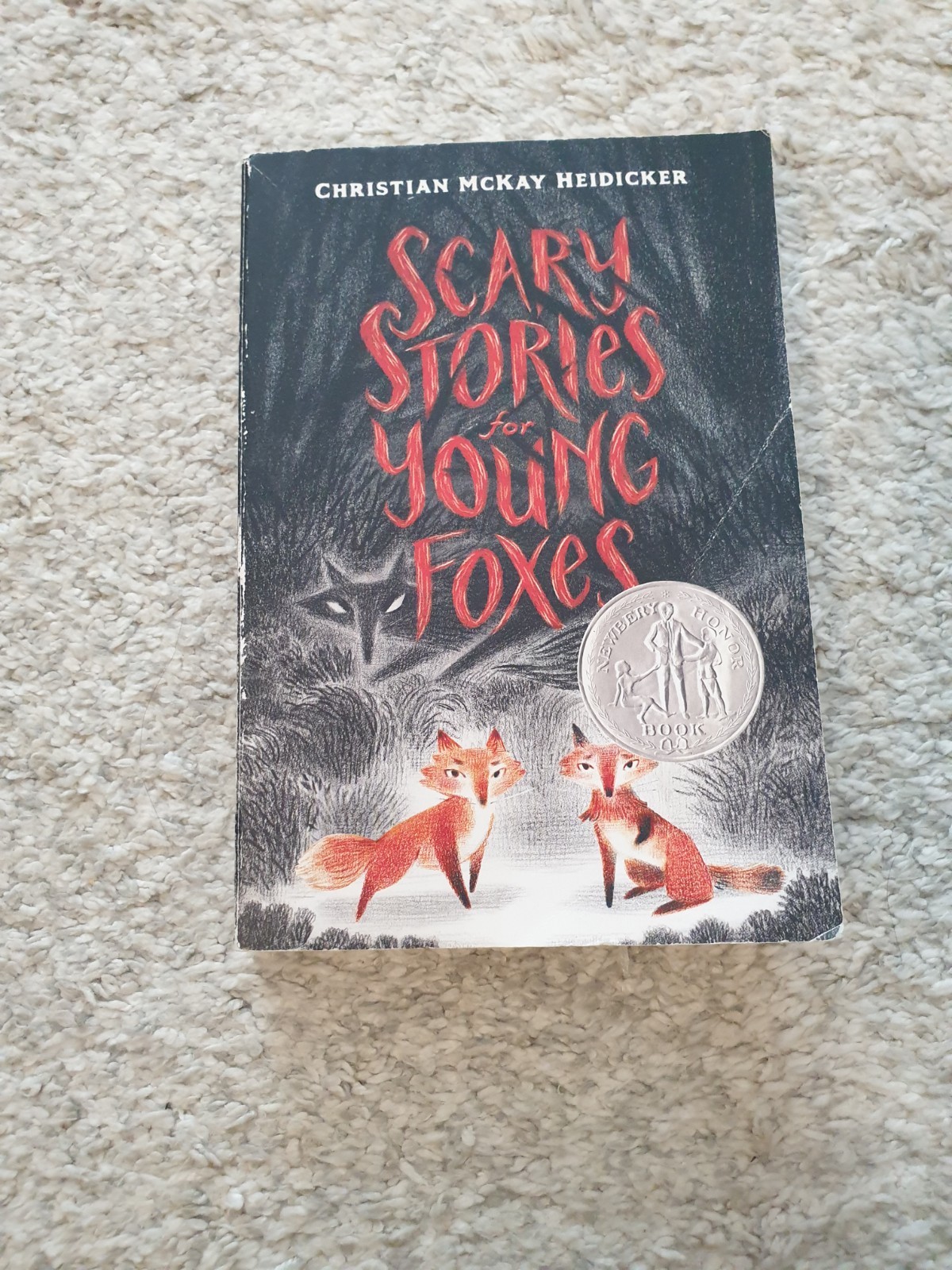 Square Fish Scary Stories for Young Foxes Paperback by Christian McKay Heidicker