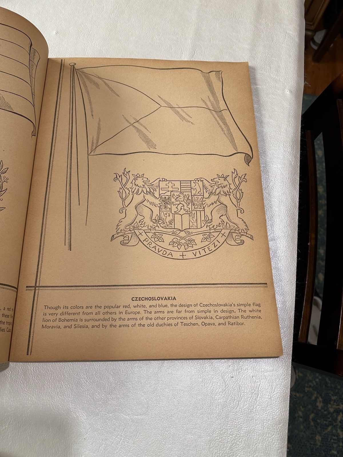Vintage National Flags Coloring Book 48 Pages