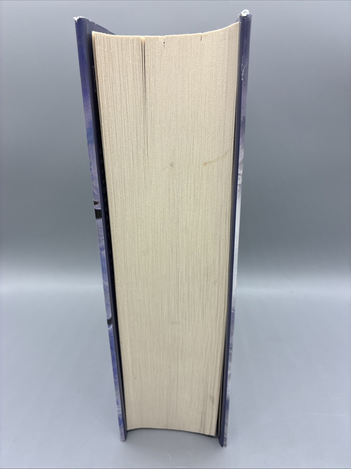 Firebrand By Kristen Britain First Edition First Printing 2017