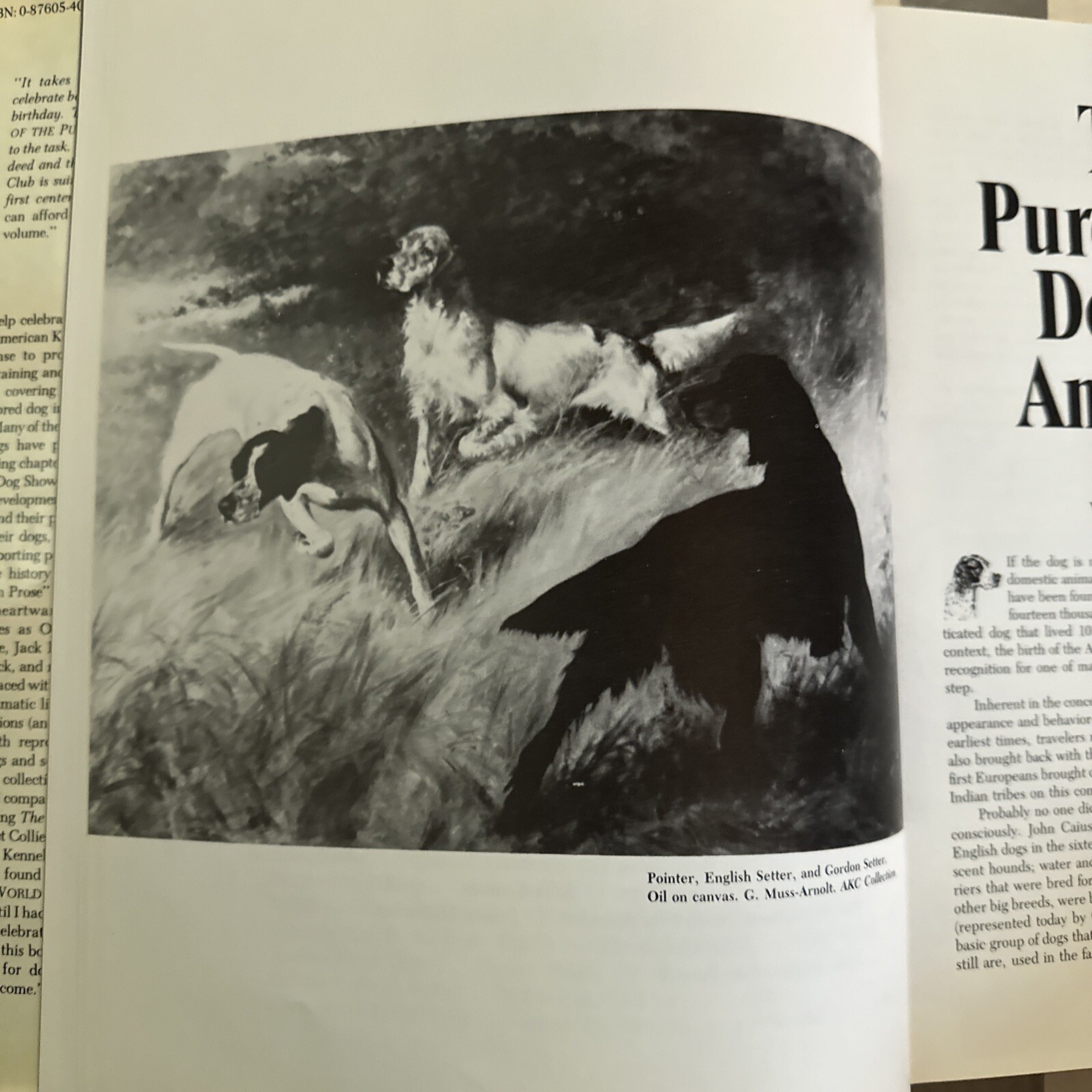 The Akc’s World Of The Purebred Dog Hardcover 1983. 344 Pages