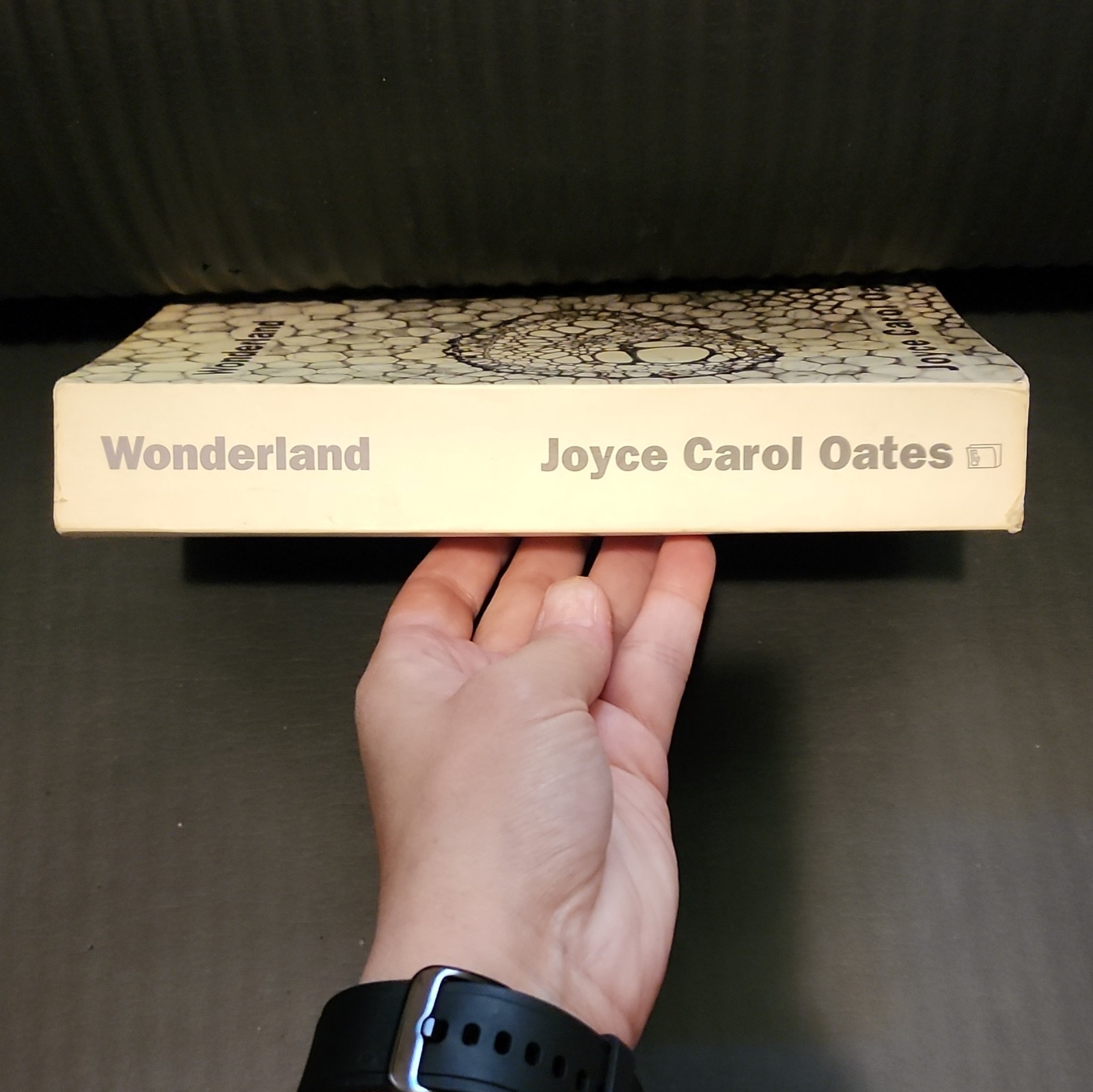 Joyce Carol Oates Wonderland Paperback Book Club Edition 1992, Illustrated