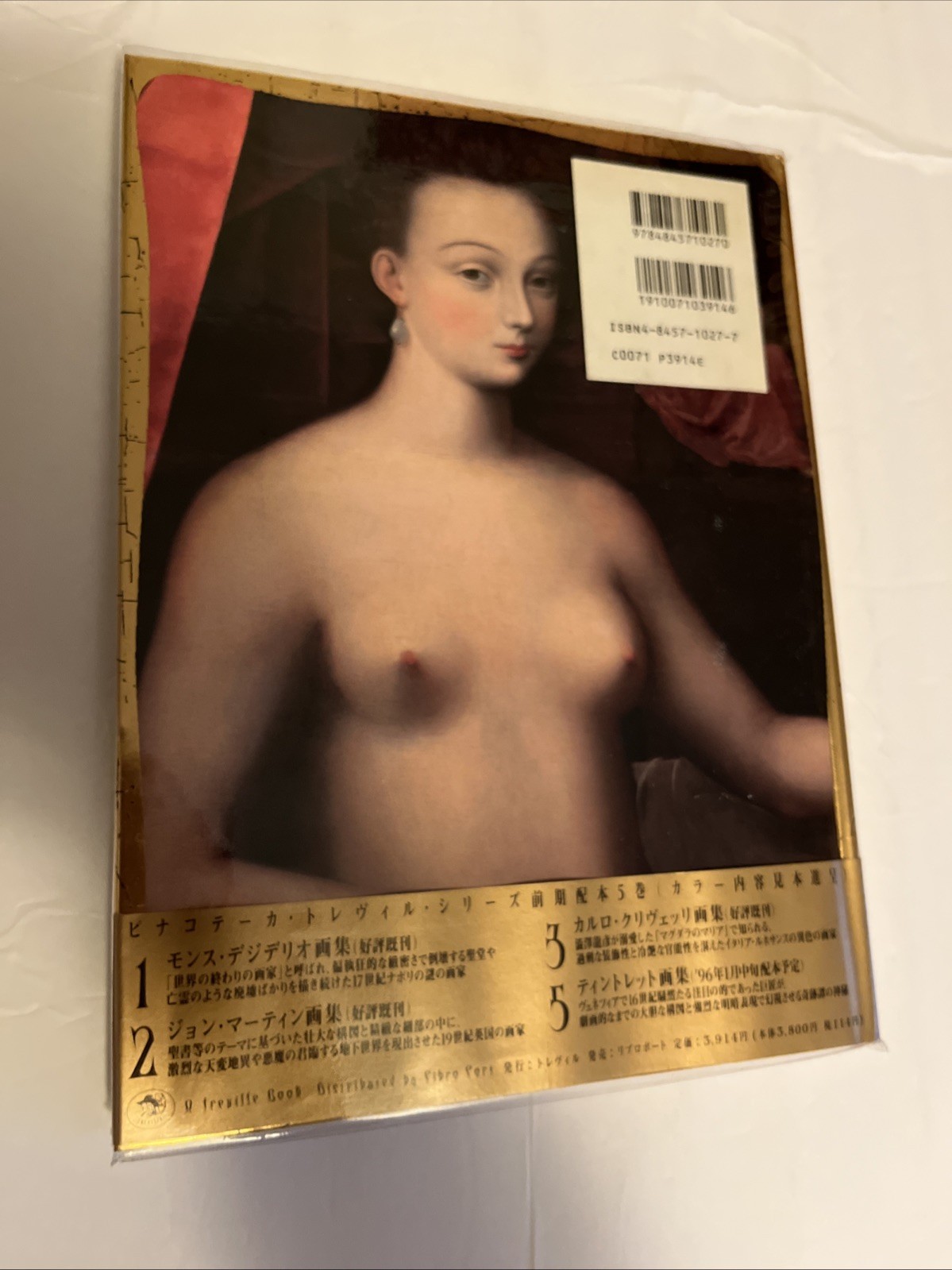Pinacoteca Treville Series 4 By Erini Fujimara I HC 1995 Japanese Edition