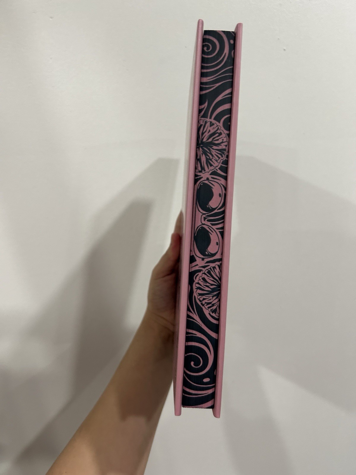 LIES & TRUTHS DUET Books For Days Crate RINA KENT And Overlays