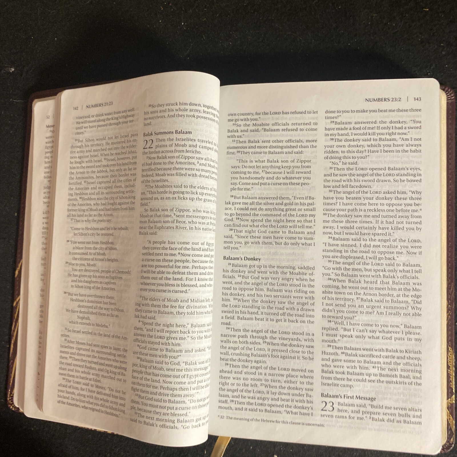 Niv Flora and Fauna Collection Bible by Zondervan Staff (2012, Leather)