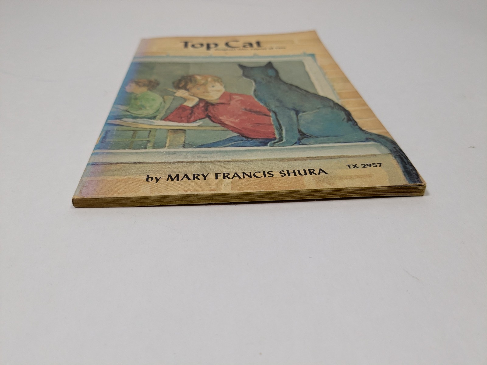 Top Cat by Mary Francis Shura Vintage Paperback Book Children’s Illustrated