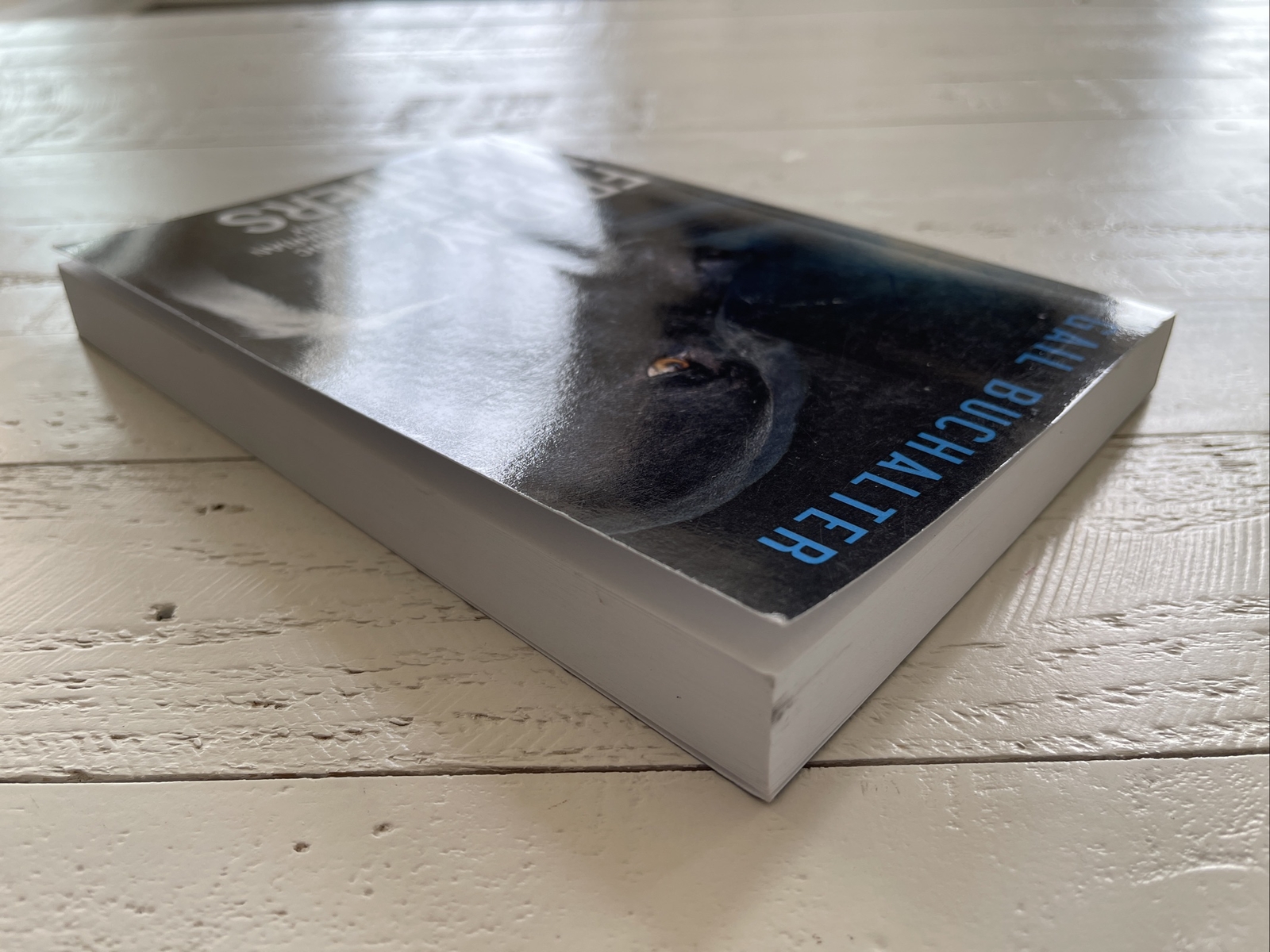 Friday Night Fighters : A Forensic Veterinarian Mystery By Gail Buchalter SIGNED
