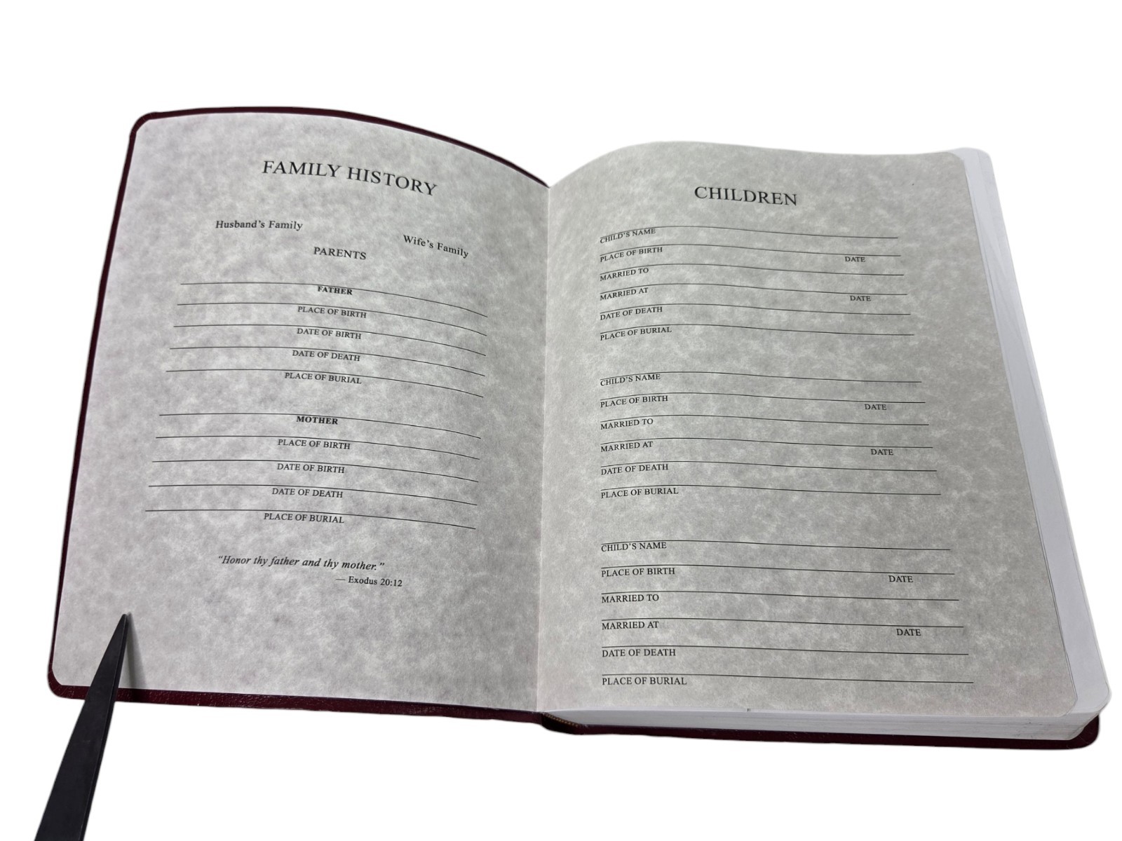 God’s Holy Bible KJV Special Margin Edition LARGE PRINT 1999 Burgundy Red Letter