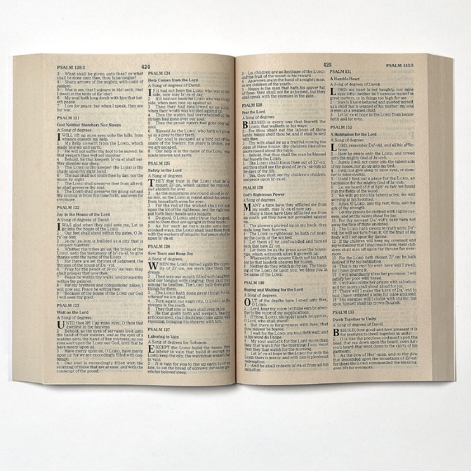 KJV Wholesale Outreach Bible Paperback BRAND NEW Case Lot of 28 Bibles!!