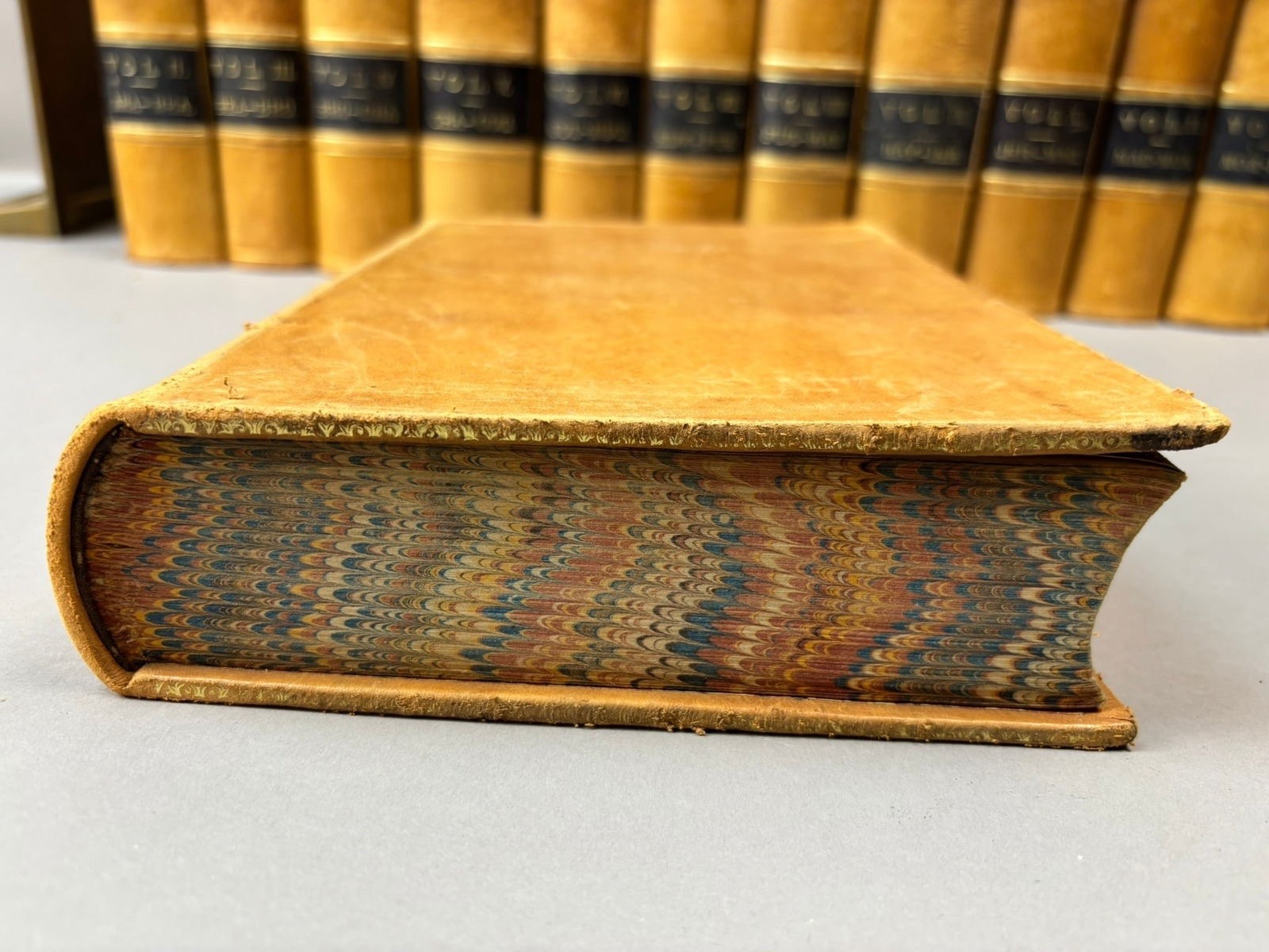 The New American Cyclopedia Compl 16 Vol Set D. Appleton & Co Early 1861 Leather