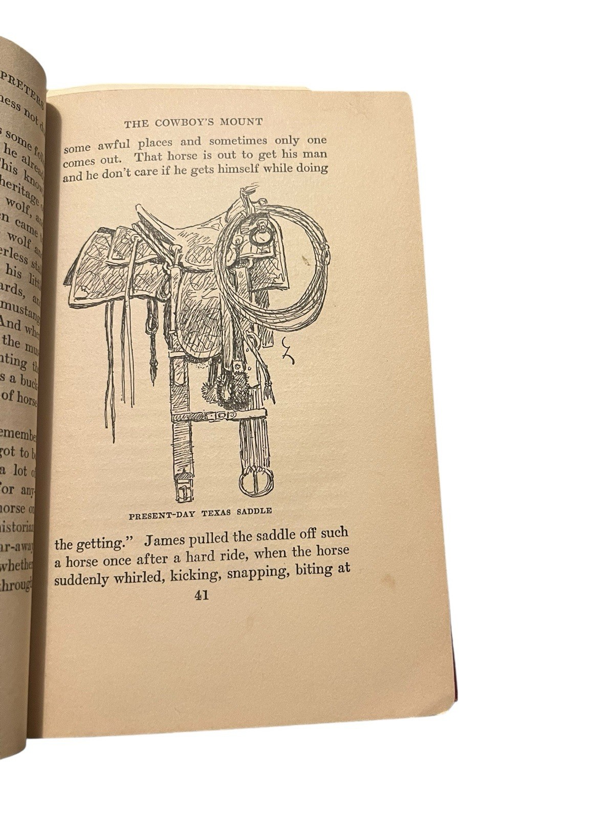 First Edition 1926 „THE COWBOY AND HIS INTERPRETERS“ by Douglas Branch Hard Book