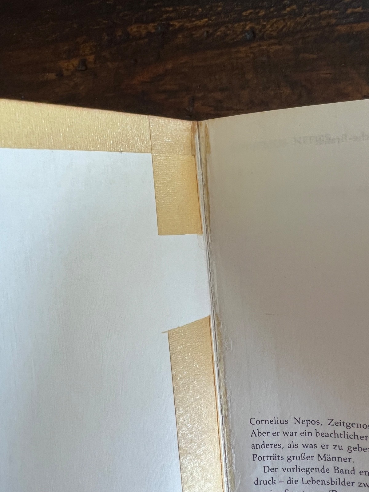 DTV Deutscher Taschenbuch Verlag – CORNELIUS NEPOS – Vitae PLAUTUS – Mostellia