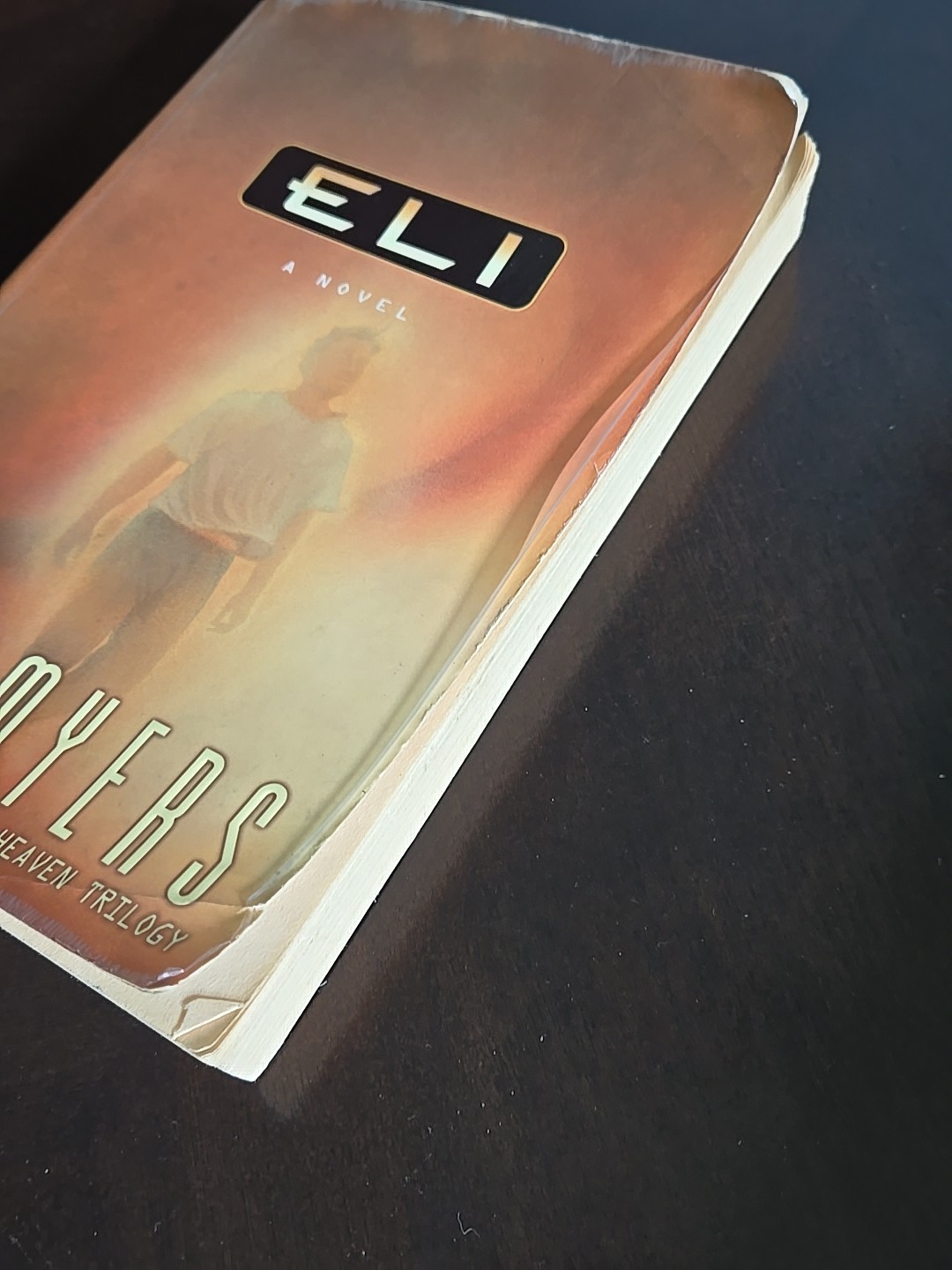 Bill Myers Books – Fire Of Heaven Trilogy, Eli, The Face Of God, The Wager
