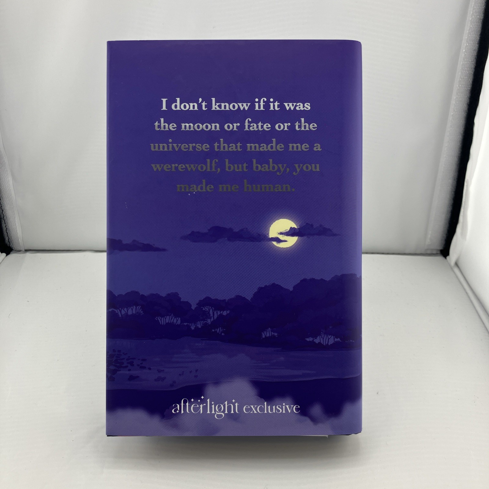 Fan Service by Rosie Danan – Illumicrate Afterlight Special Edition Signed 1/1