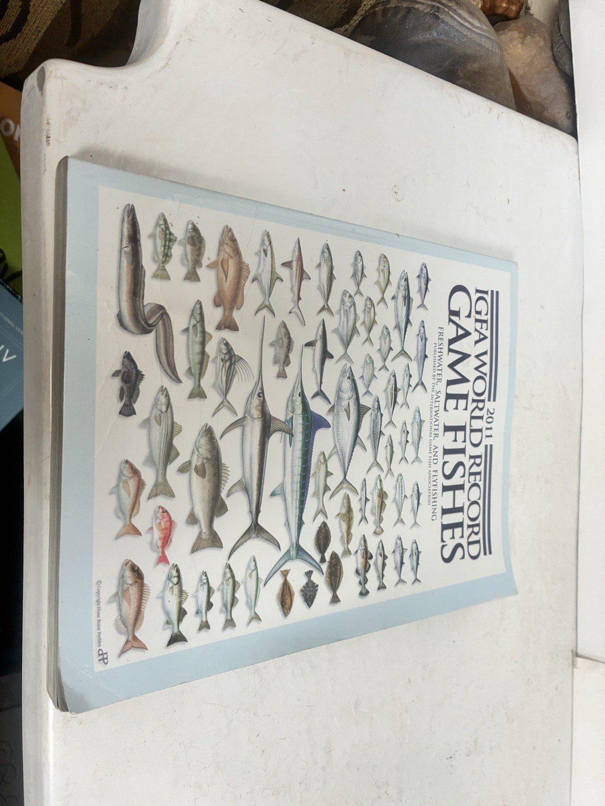 GameFishes IGFA World Record Book 2011 Published 424 Pages
