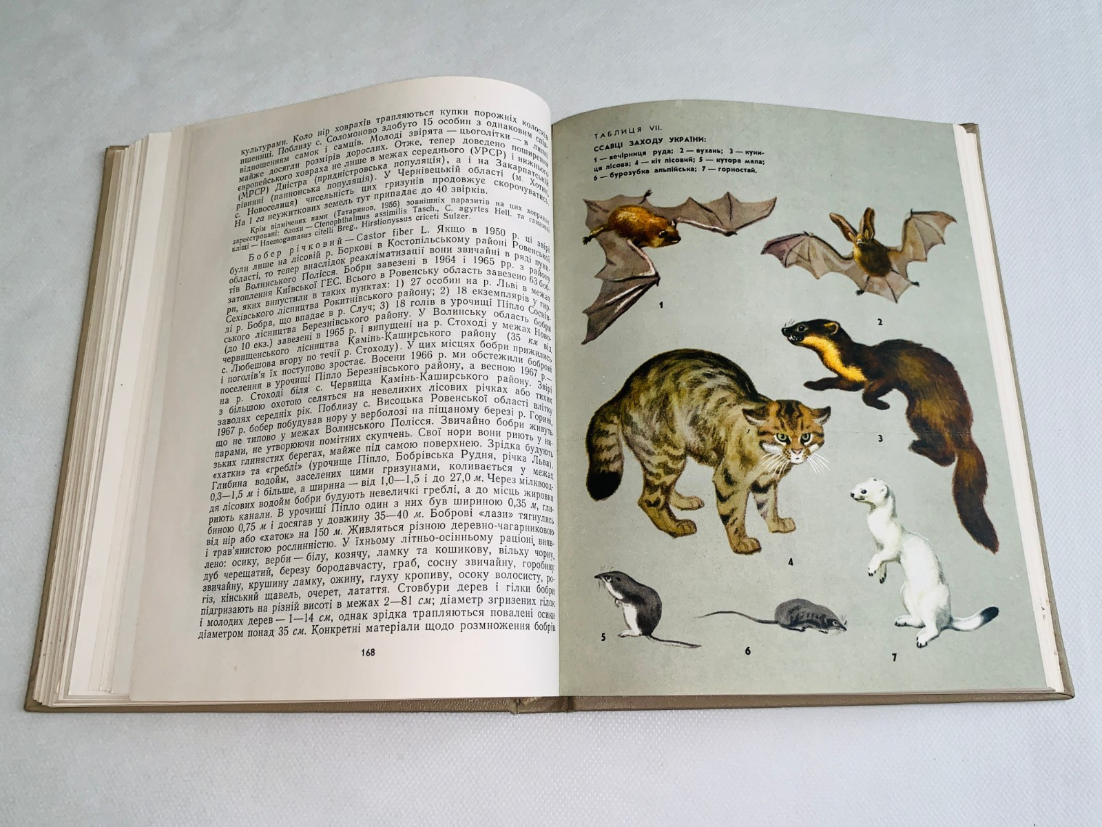 Фауна Західної України Хребетні / Fauna of Vertebrates of the Western Ukraine