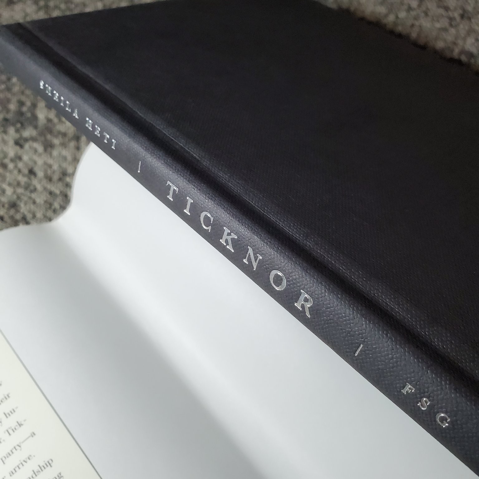 Ticknor Sheila Heti 2006 First Edition Fiction Farrar Straus Giroux