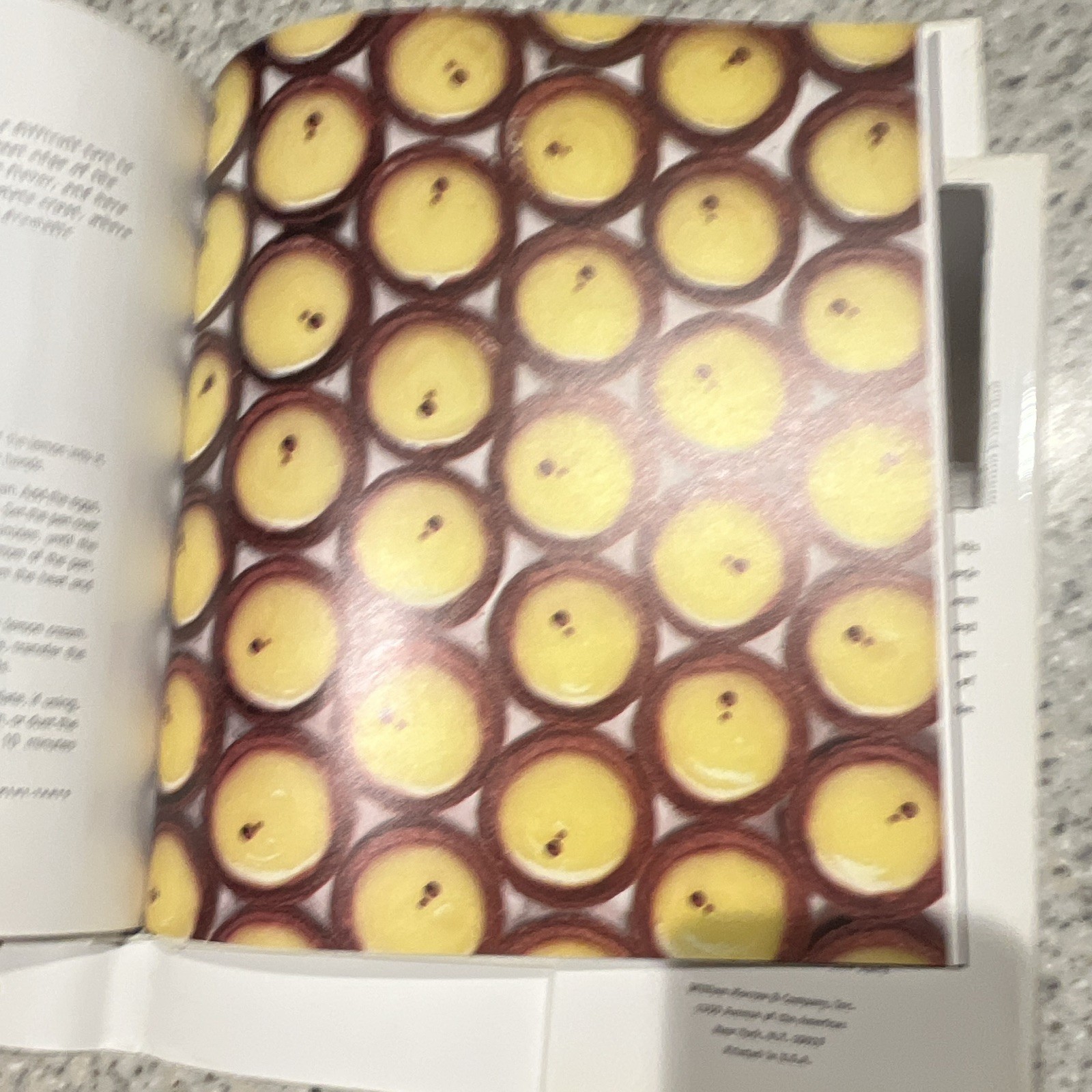 Maury Rubin Book of Tarts Bakery Cookbook HC DJ Illustrated 1995 1st Ed