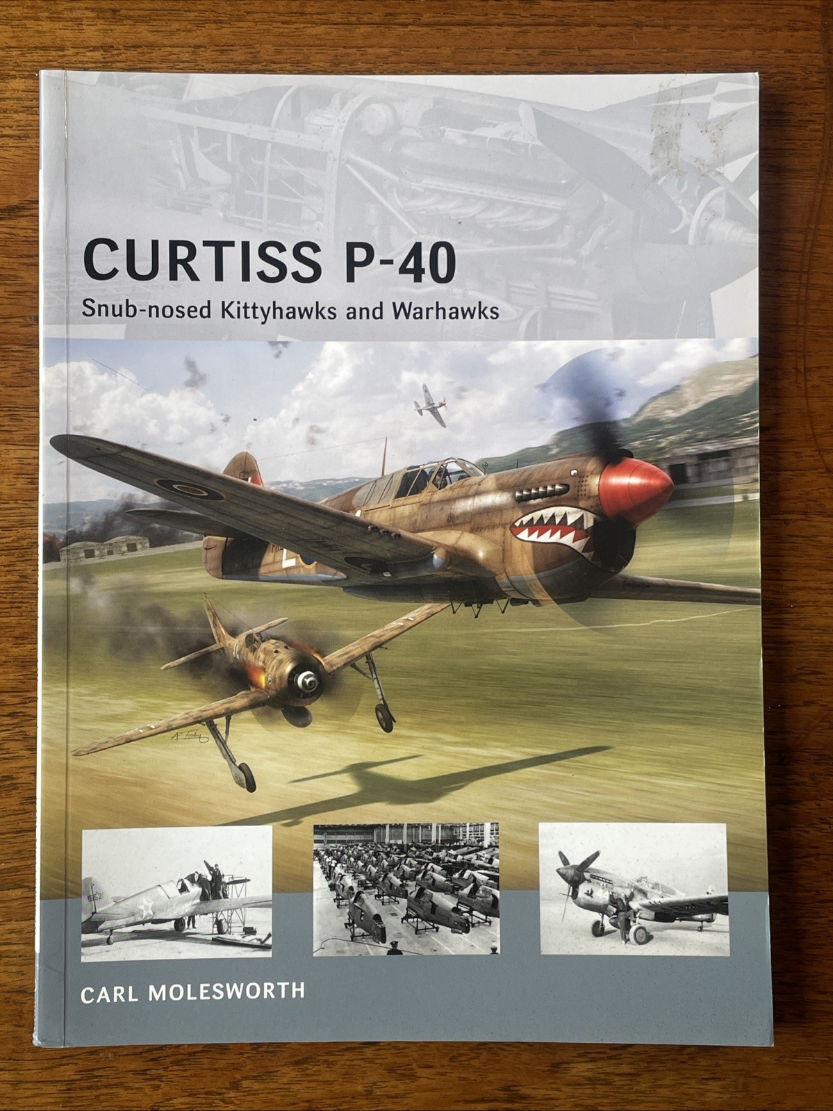 Curtiss P-40 Snub-nosed Kitty & Warhawks – Osprey Air Vanguard #11, 64 Pages