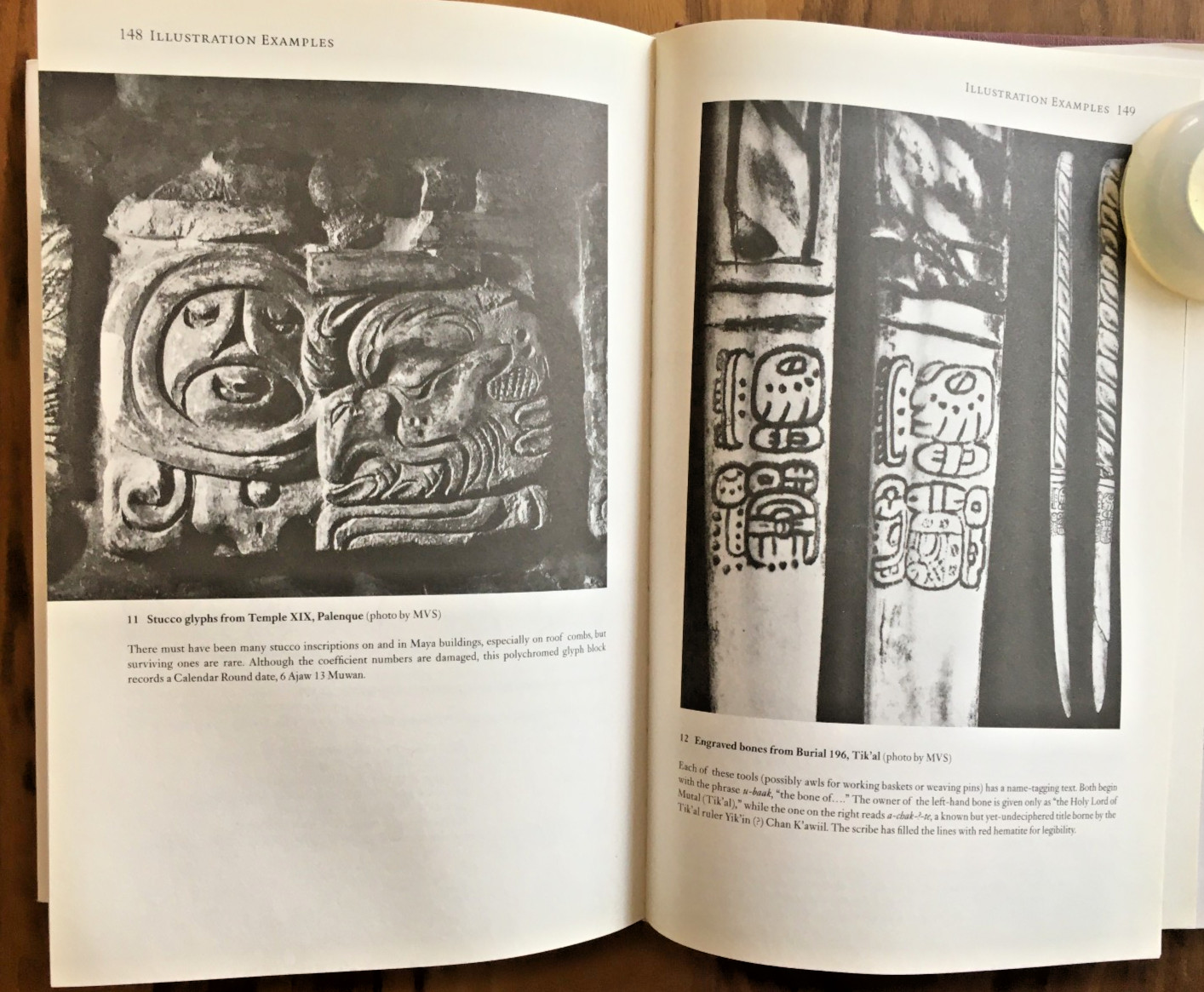 Reading the Maya Glyphs ~ Michael Coe & Mark Van Stone ~ 2001 – HC DJ 1st Ed.!