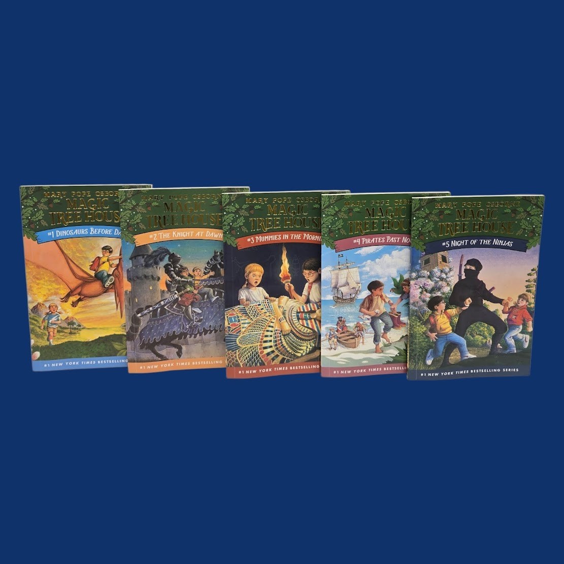 Set 6A: Magic Tree House A Library of Books 1-28 – Mary Pope Osborne Collection