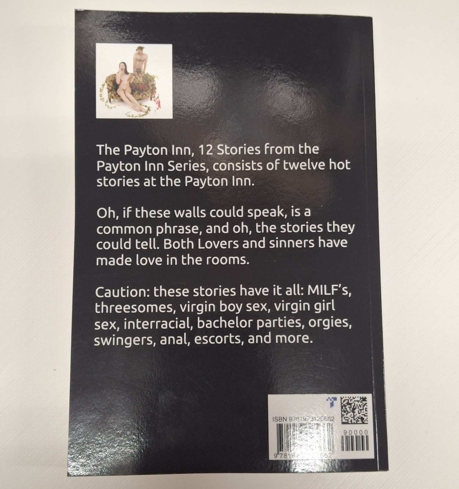 The Payton Inn 12 Erotic Stories from the Payton Inn Series – Paperback Edition