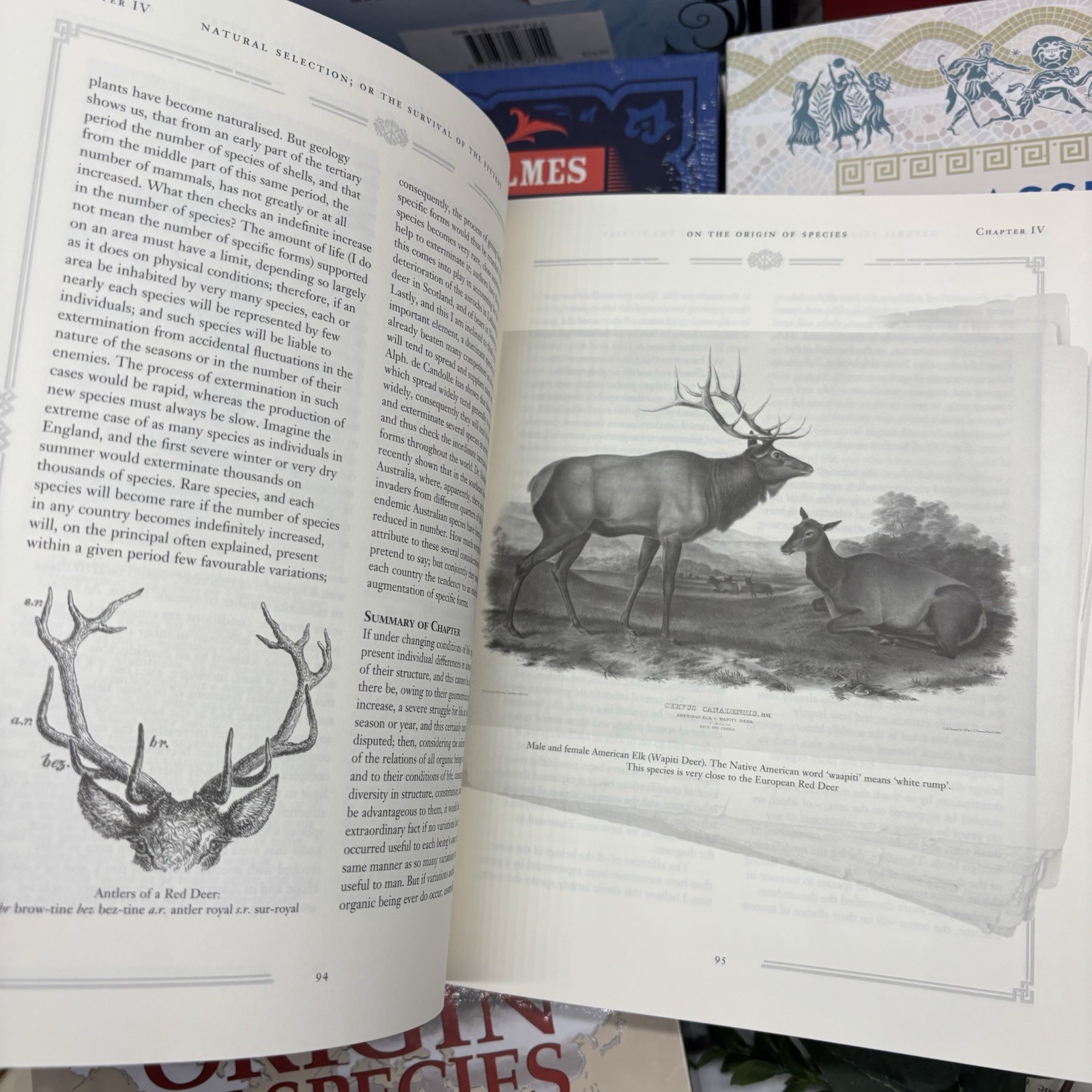 Set of 7 Illustrated Books with Slipcases Arcturus Publishing