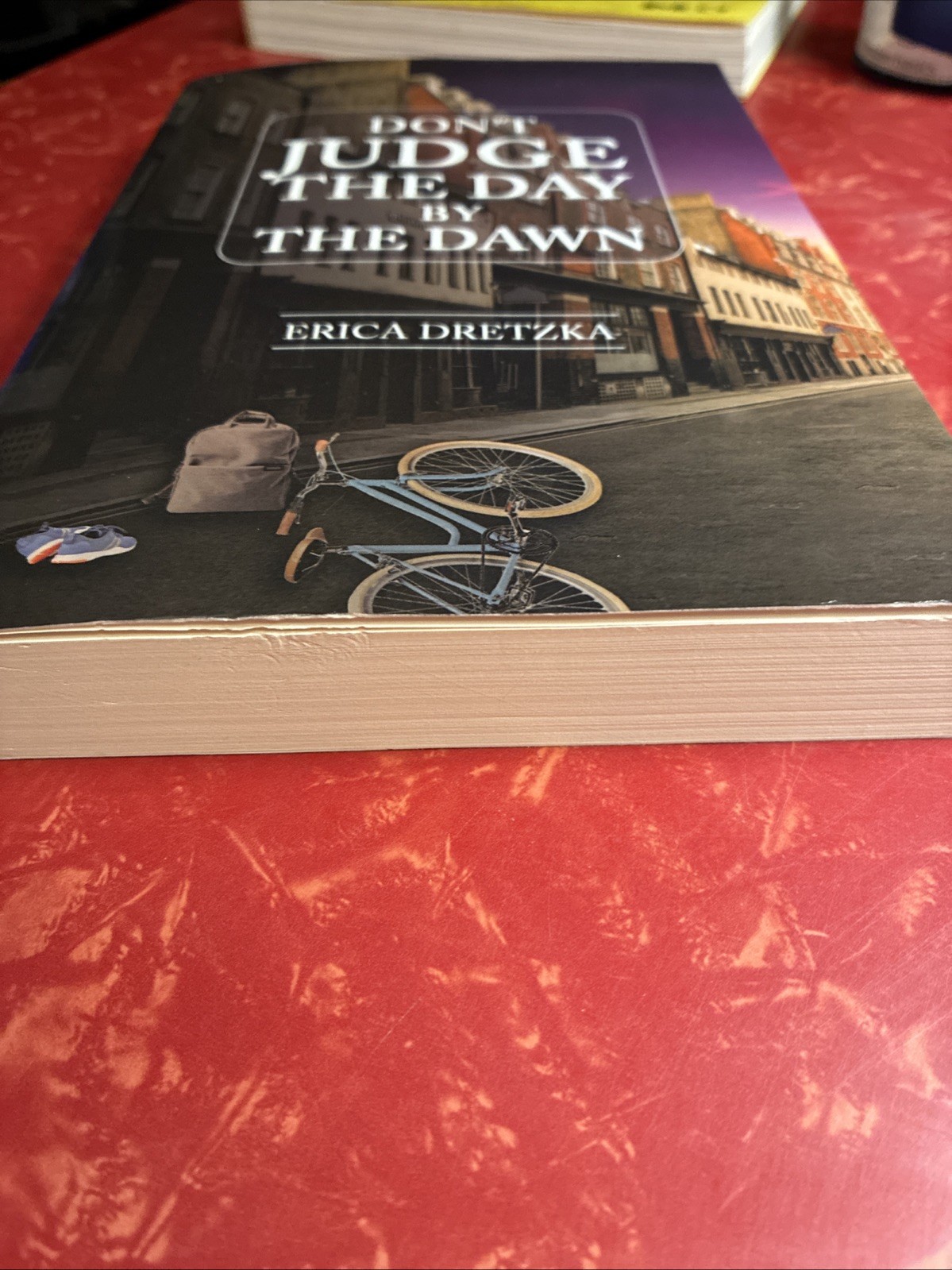 Don’t Judge the Day by the Dawn by Erica Dretzka 2020 Paperback Christian Faith