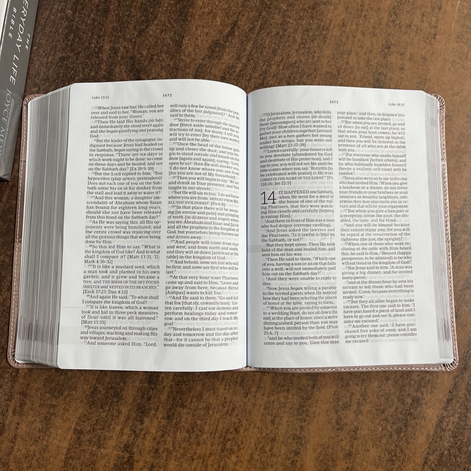 Amplified Joyce Meyer Everyday Life Study Bible – Blush LeatherLuxe