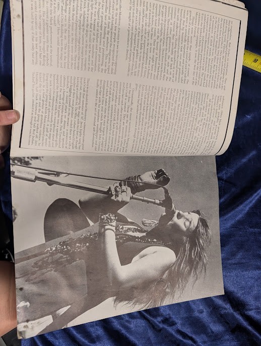 Rock ’n‘ Roll Babylon Gary Herman Paperback Music History Book