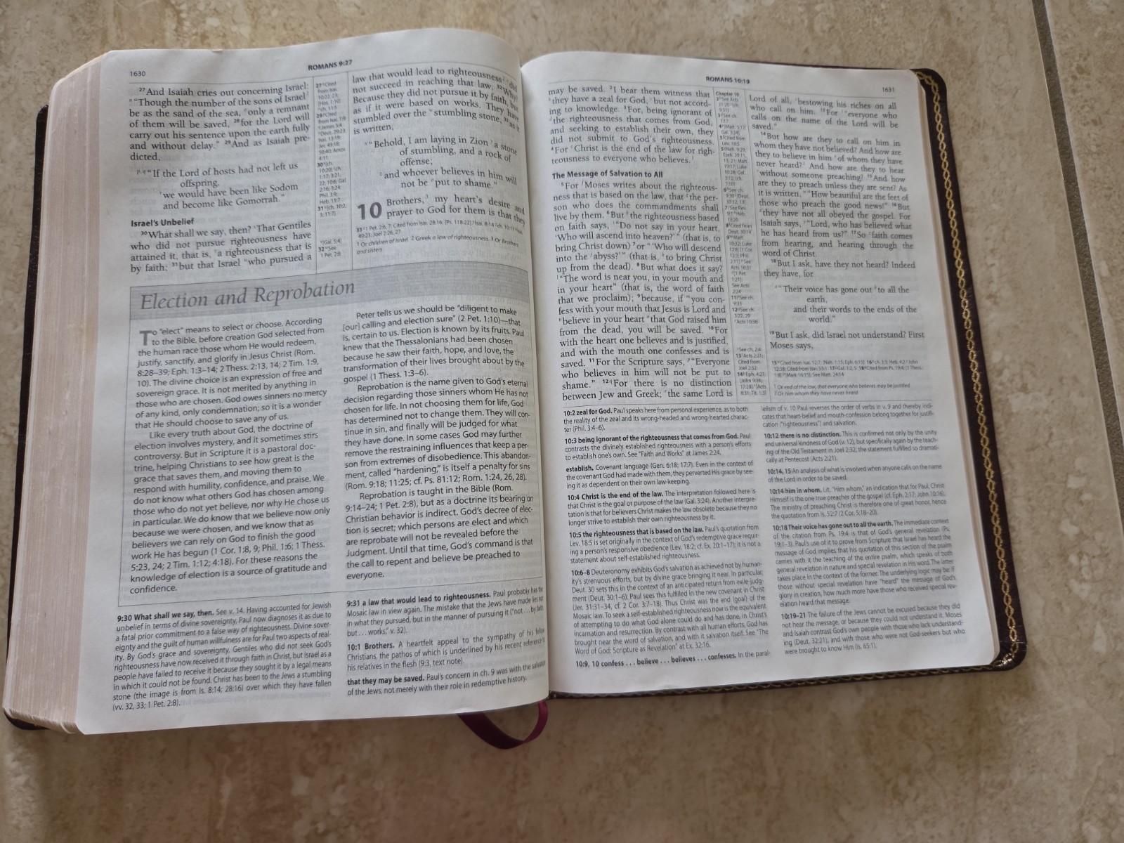 The Reformation Study Bible ESV 2005 Burgundy Genuine Leather Ligonier