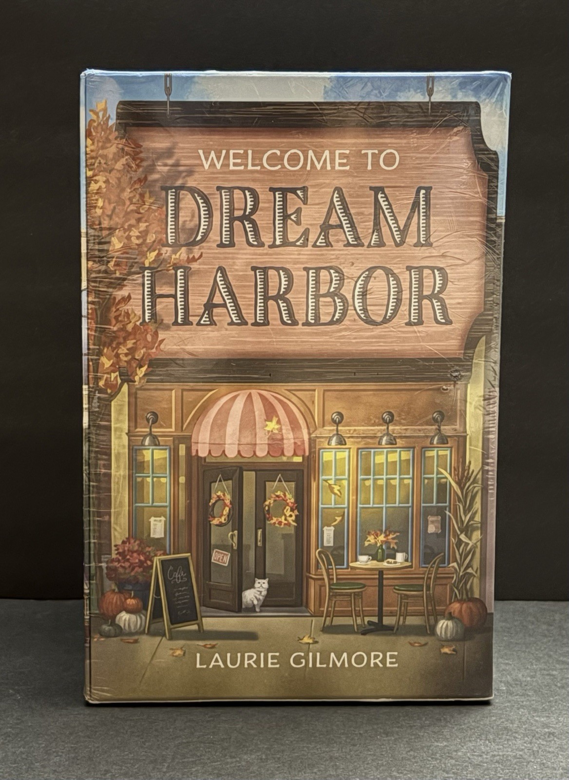 Welcome To Dream Harbor Paperback Box Set Dream Harbor Laurie Gilmore NEW SEALED