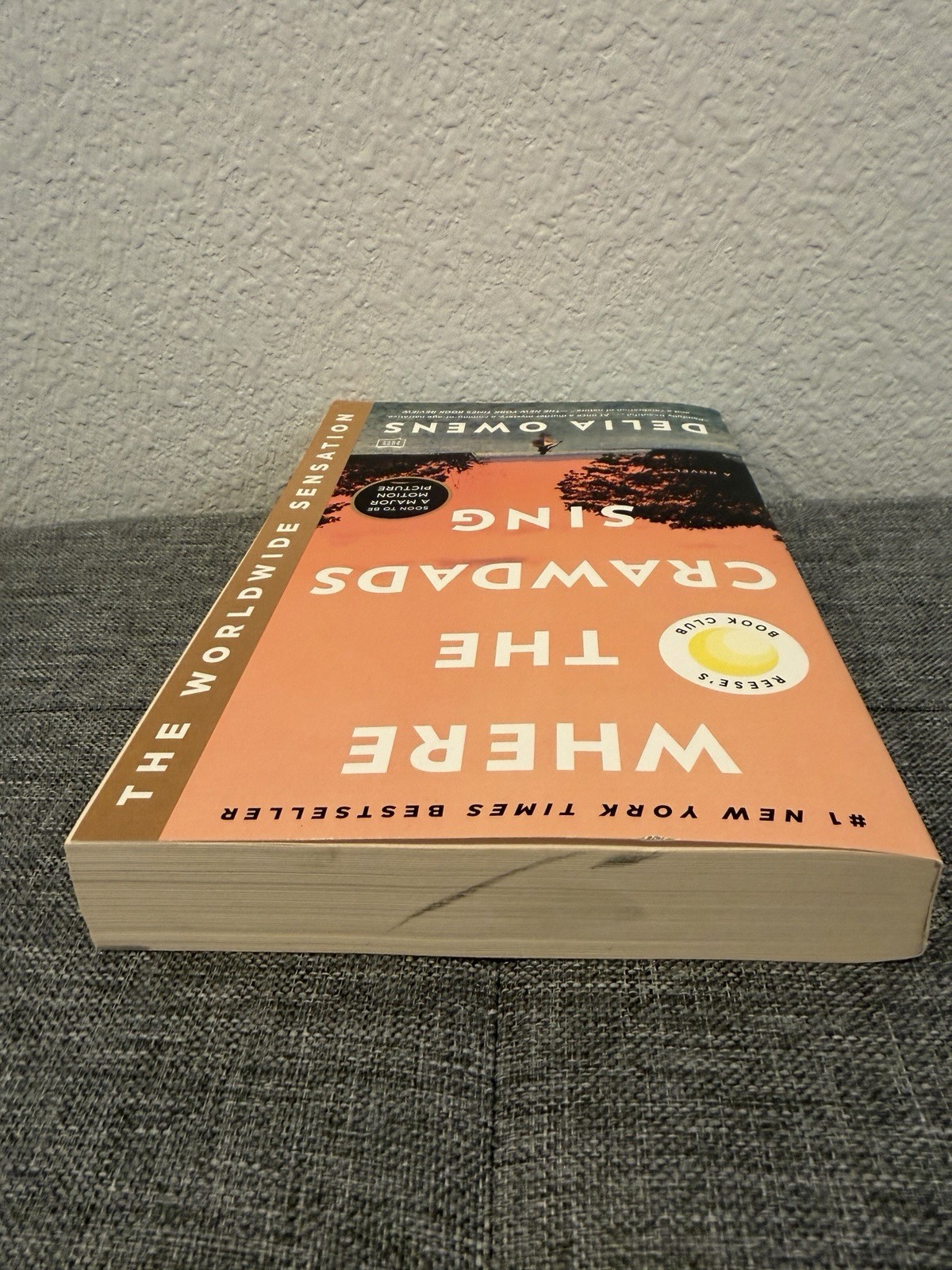 Where the Crawdads Sing – Paperback By Owens, Delia – GOOD