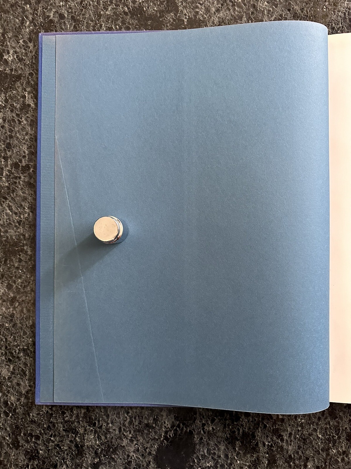 Robert Mapplethorpe Certain People by Susan Sontag 1985 Hardcover