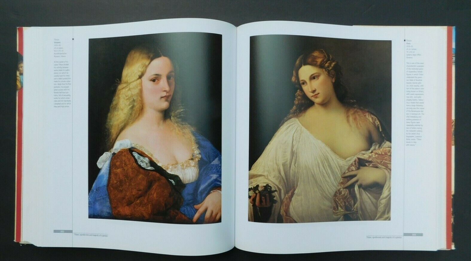 Oversize art book History of European RENAISSANCE 480 pages 100s of photos HCDJ