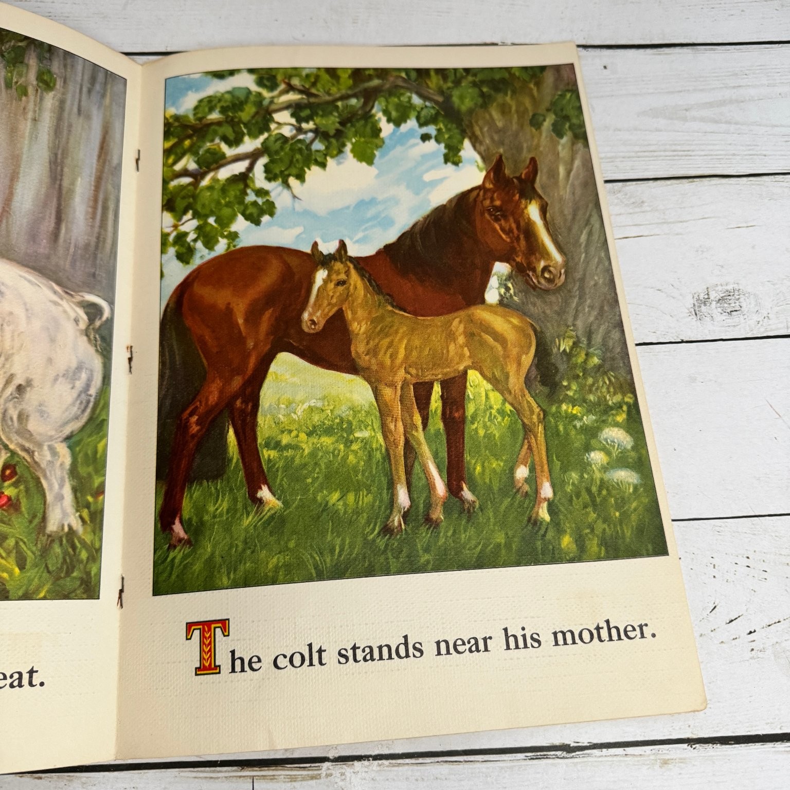 On the Farm Picture Book 1950 Whitman Publishing Vintage Children’s Farm Animals