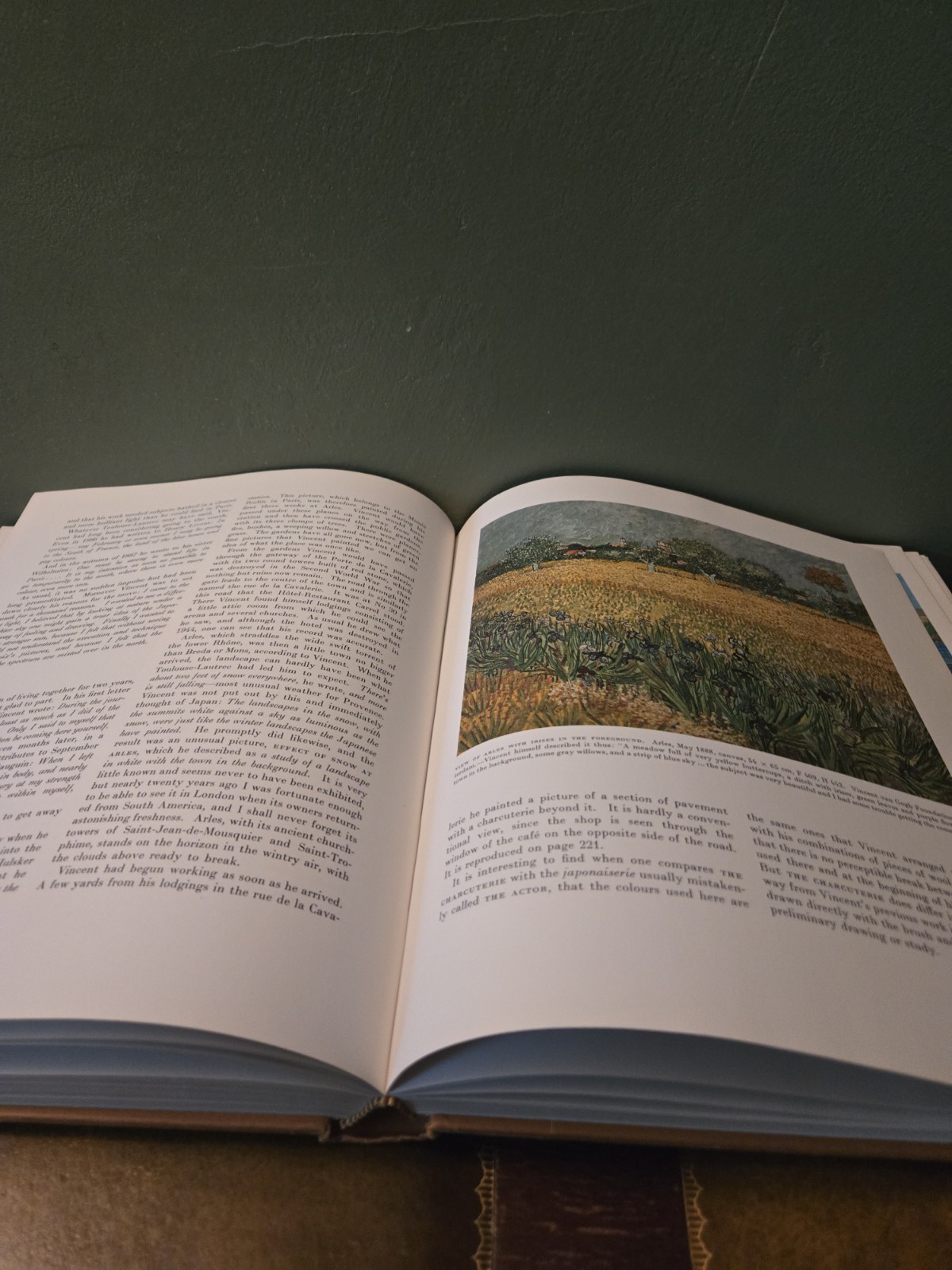 Vincent Van Gogh By Marc Edo Tralbaut 1969 First Edition Hardcover