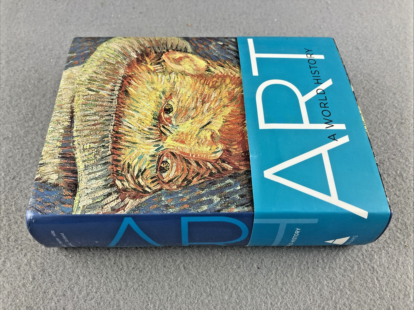 Art : A World History Perfect Photography Abrams Mini Book Neat Art Paintings