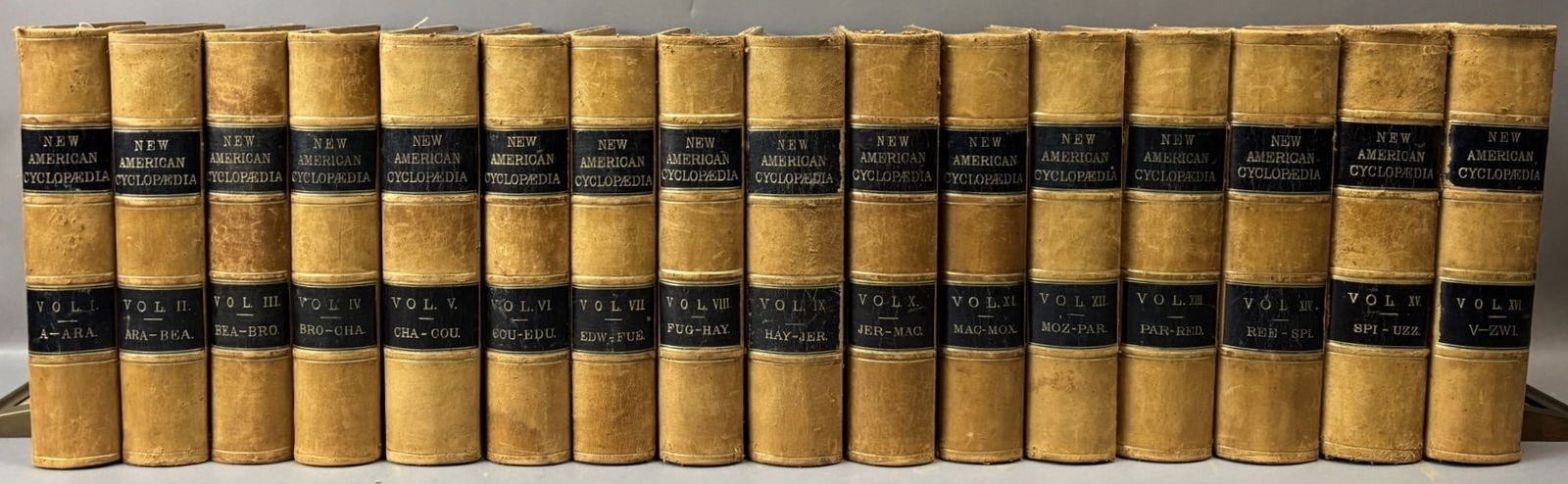 The New American Cyclopedia Compl 16 Vol Set D. Appleton & Co Early 1861 Leather