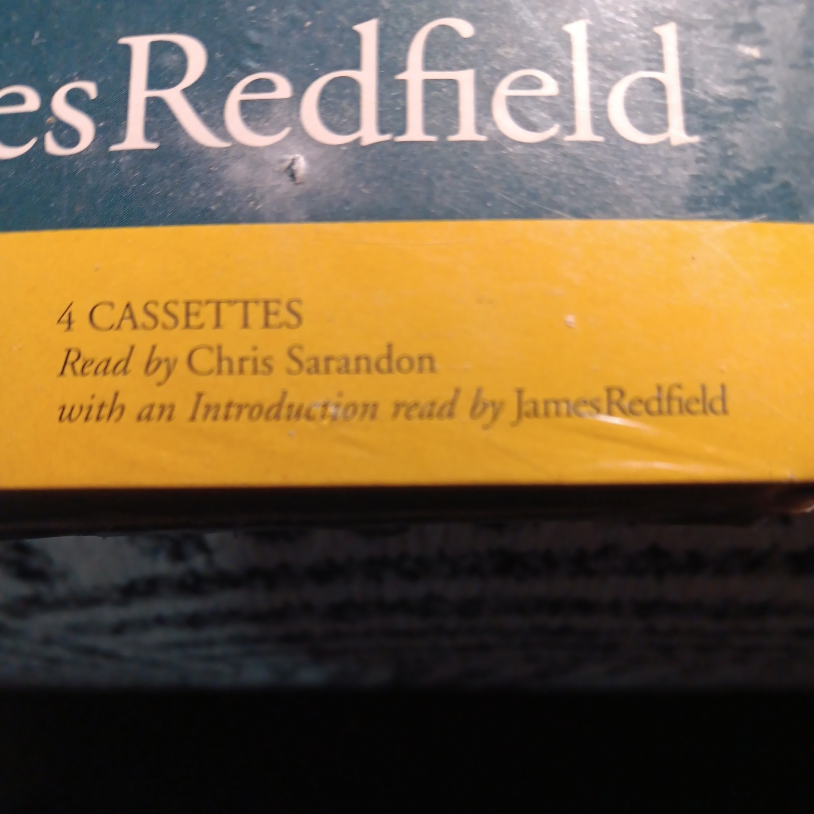 The Tenth Insight : Holding the Vision by James Redfield (1998, Paperback)