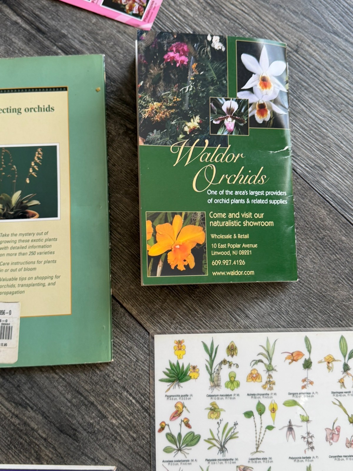 ORCHID Book 8pc Lot Field Guide Hardcover Softcover Gardening Flowers Floristry