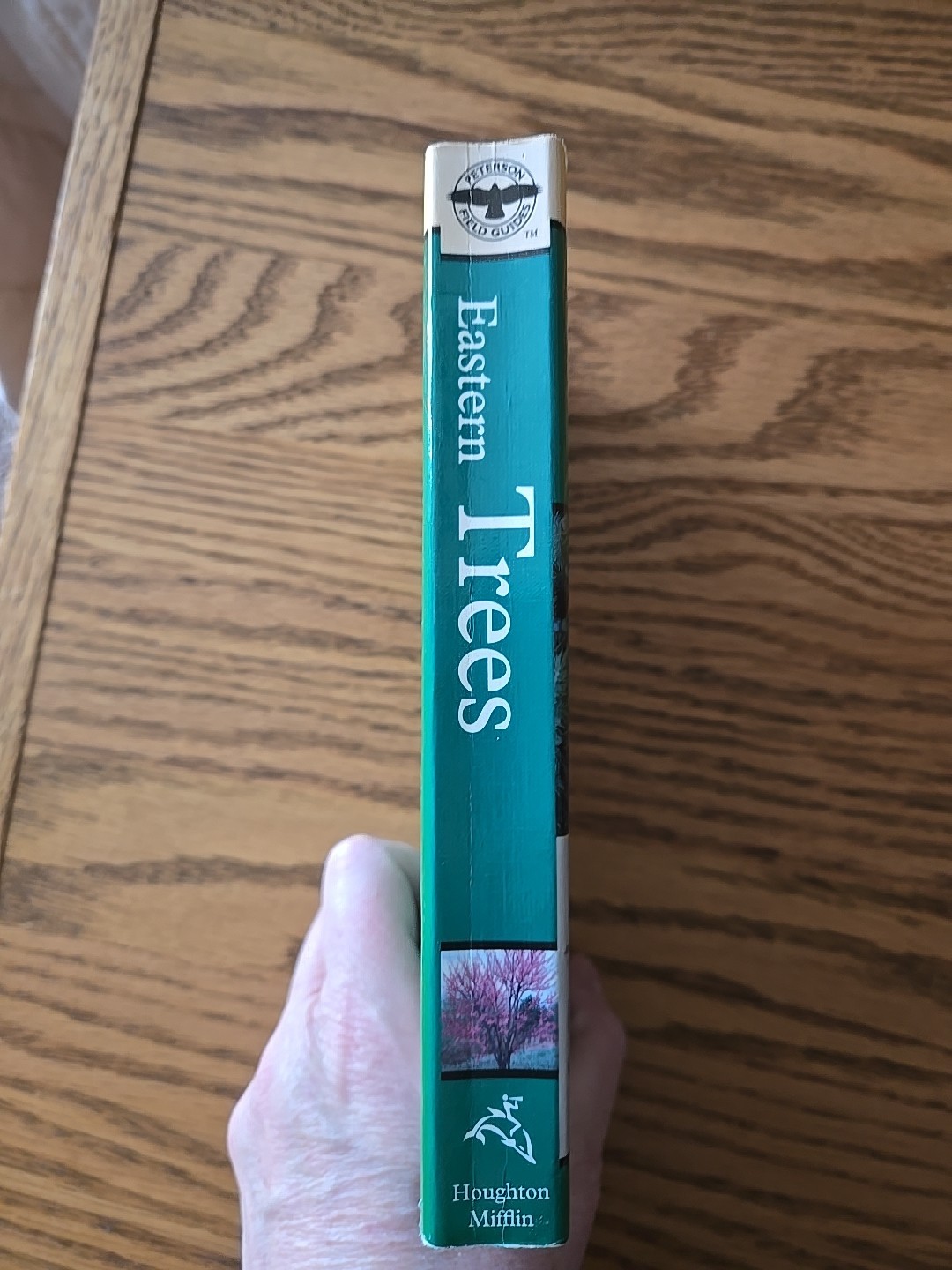A Peterson Field Guide To Eastern Trees: Eastern United States – 1988