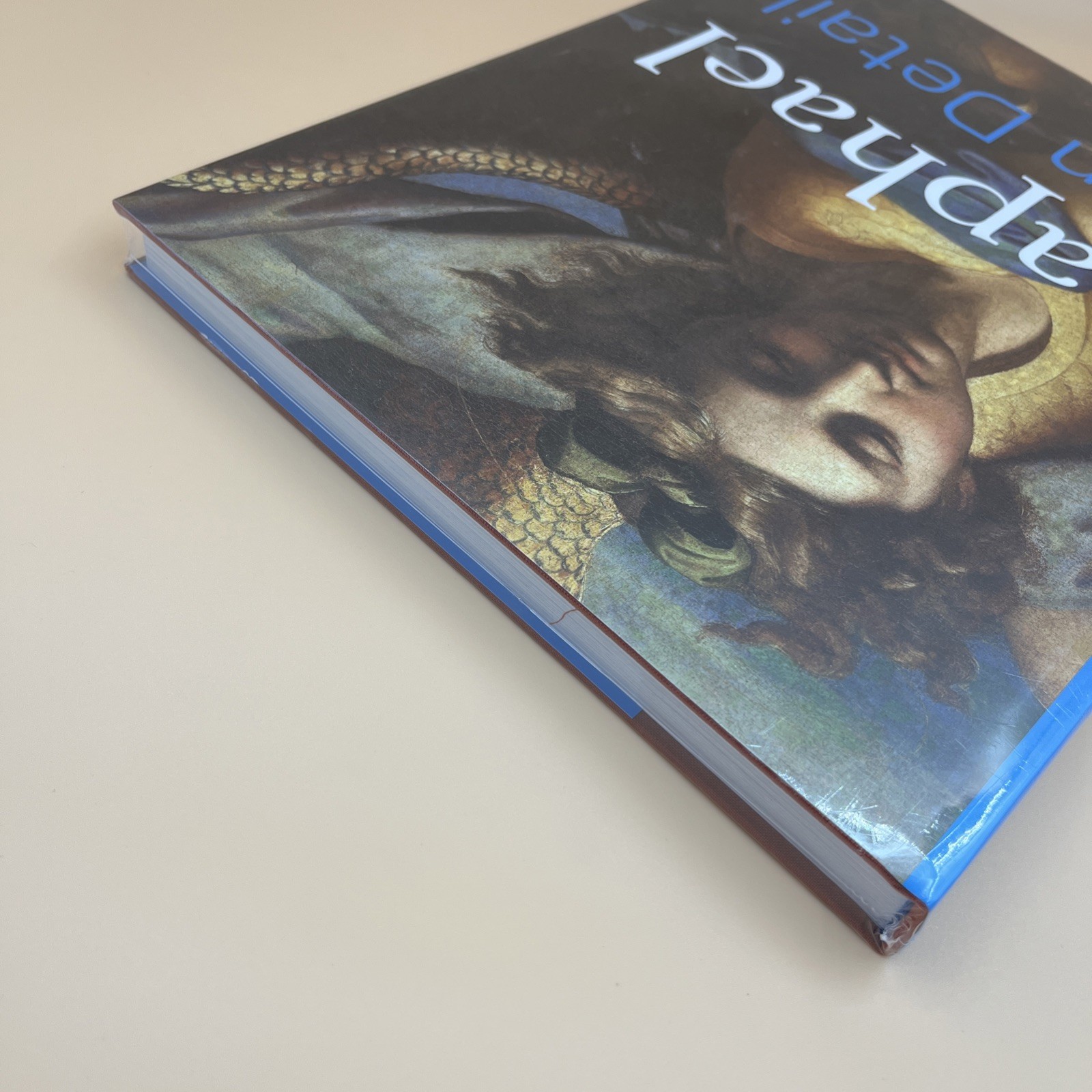 Raphael in Detail (2020, Hardcover) • Renaissance Art Book • BRAND NEW SEALED